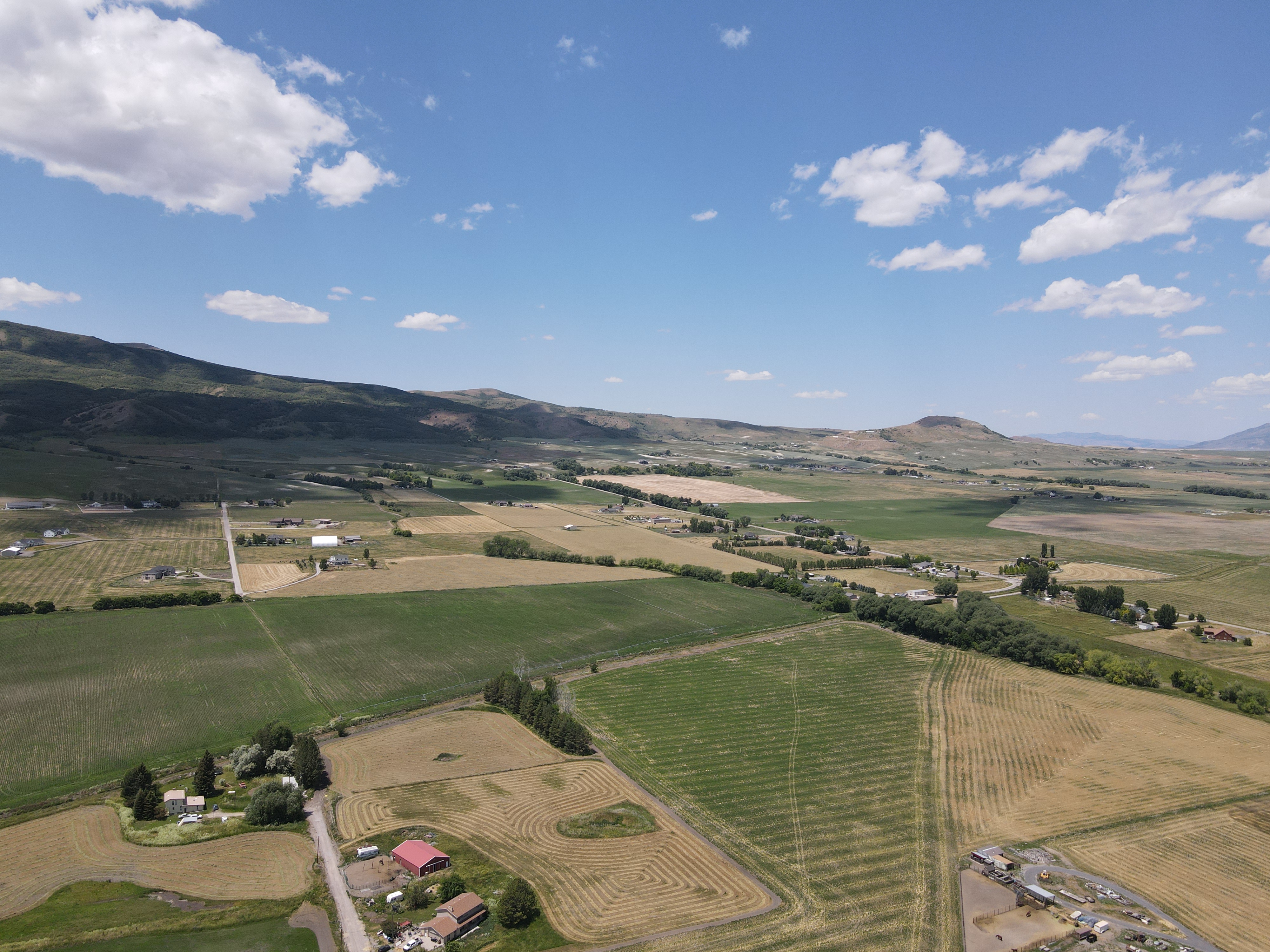Image of Blueberry Springs