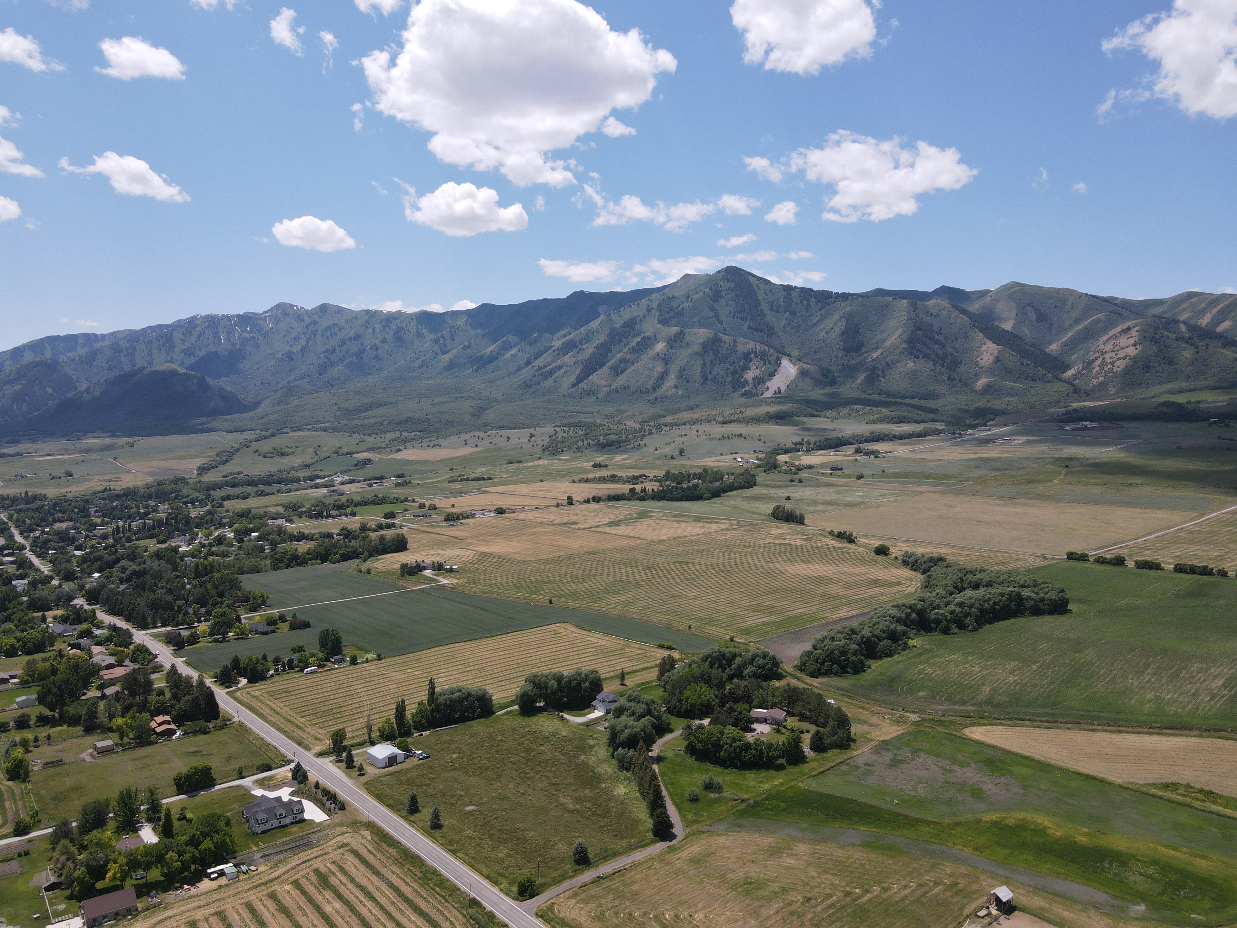 Image of Blueberry Springs