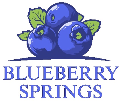 Blueberry Springs