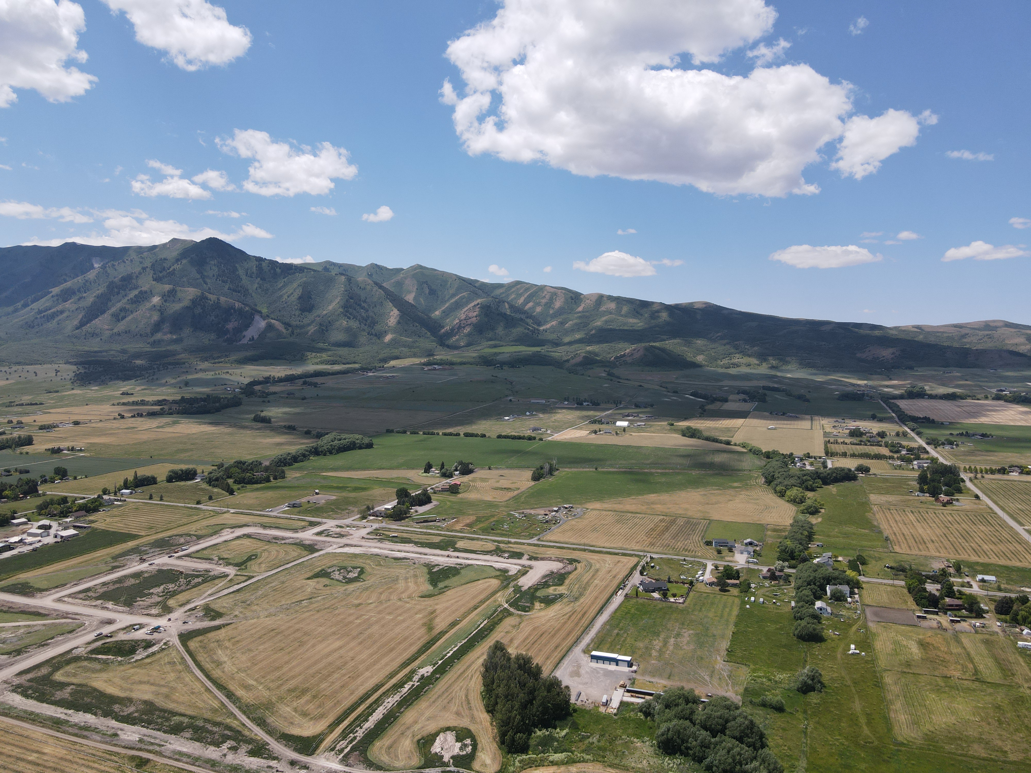 Image of Blueberry Springs