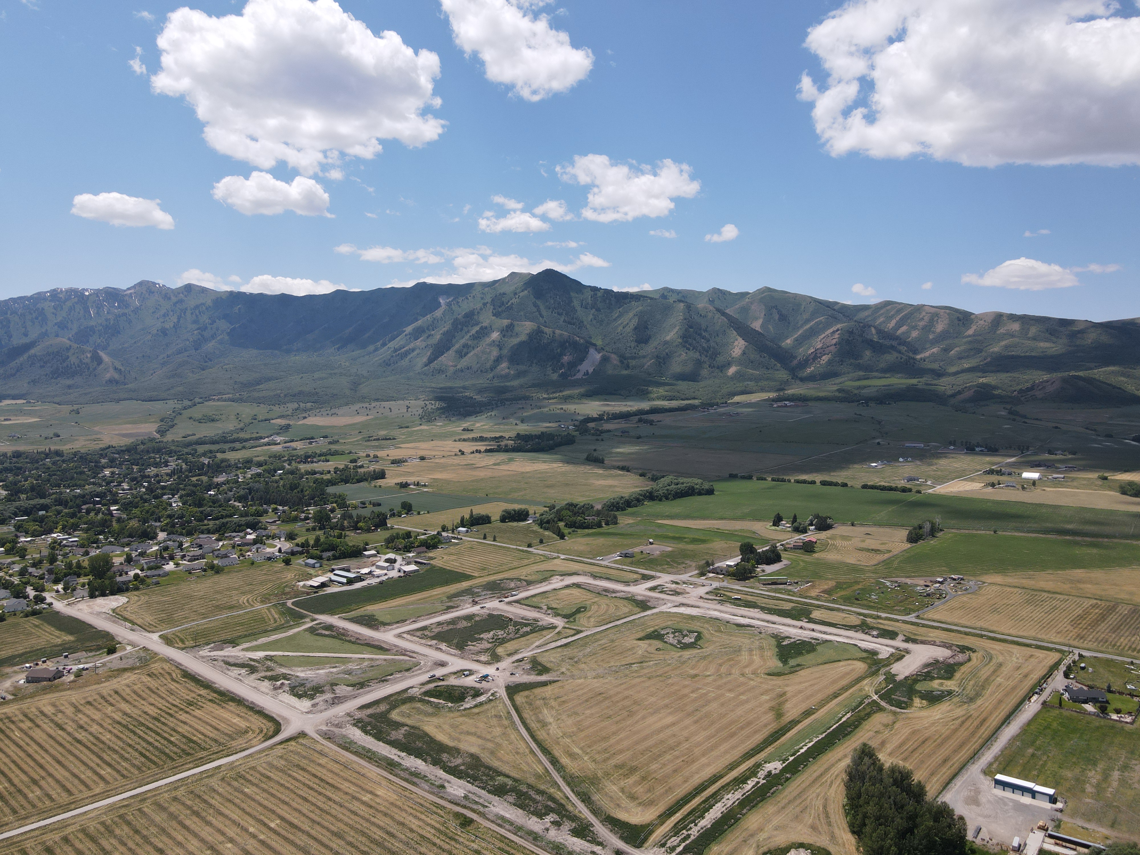 Image of Blueberry Springs