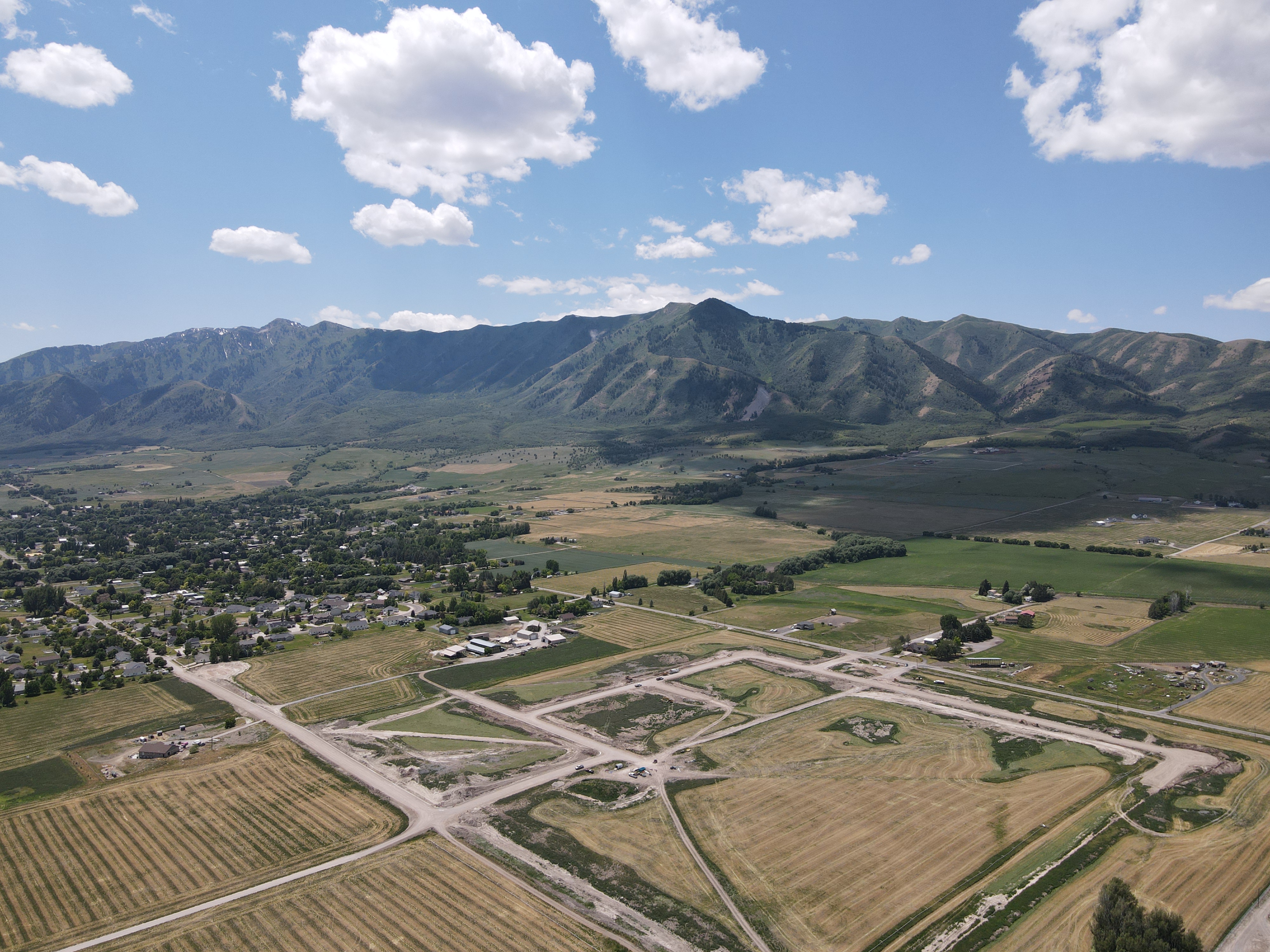 Image of Blueberry Springs