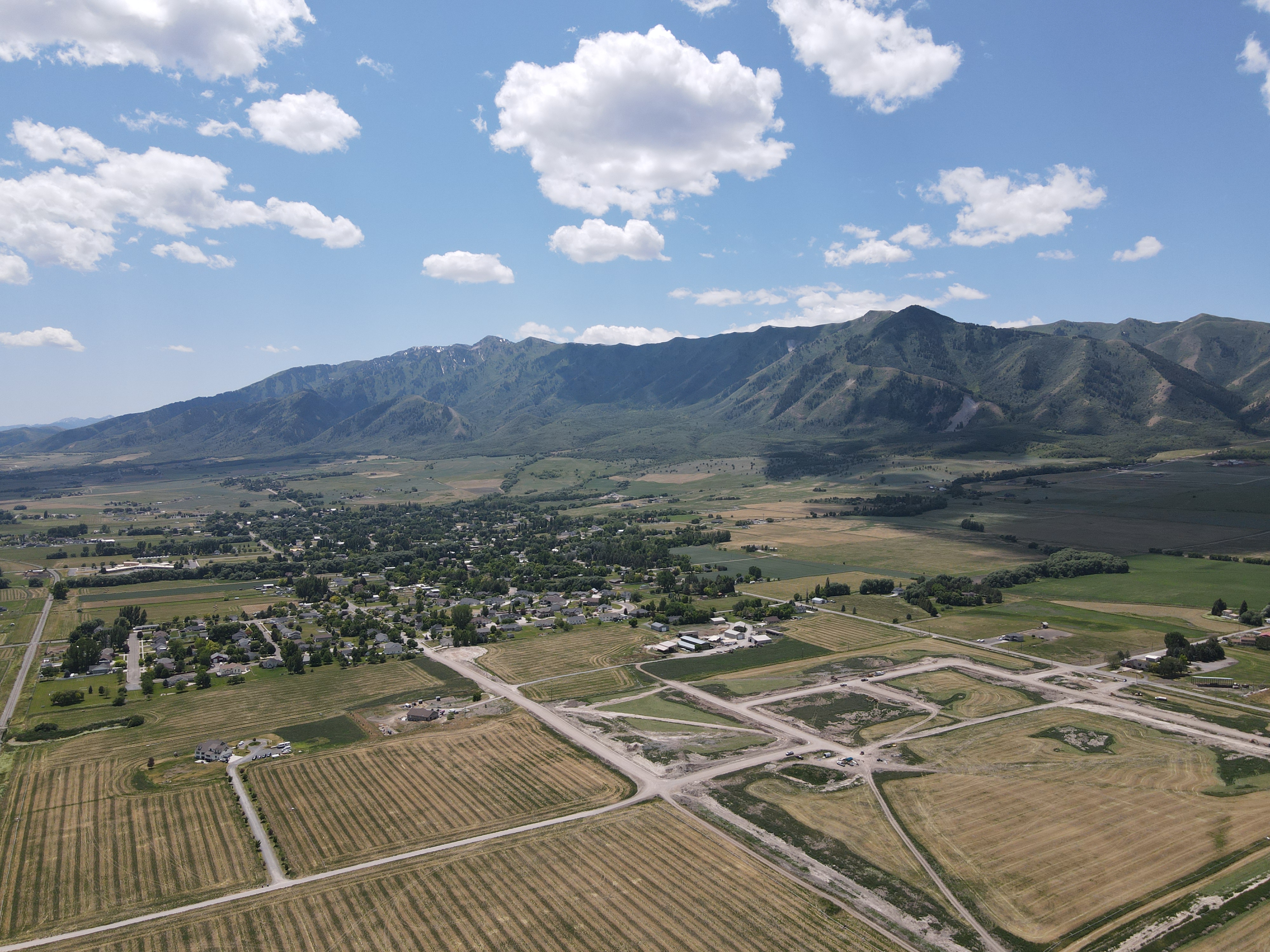 Image of Blueberry Springs