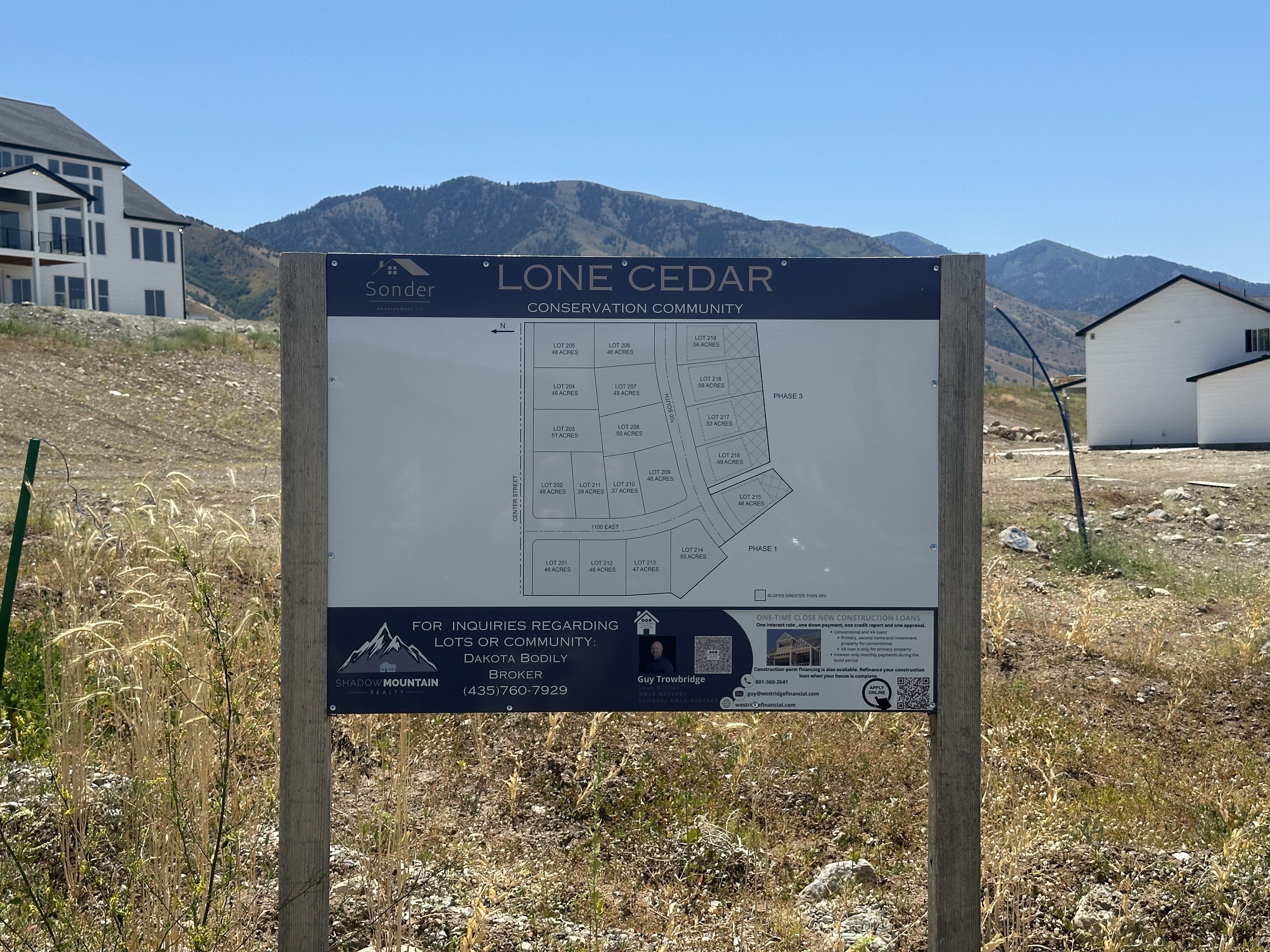 Image of Lone Cedar
