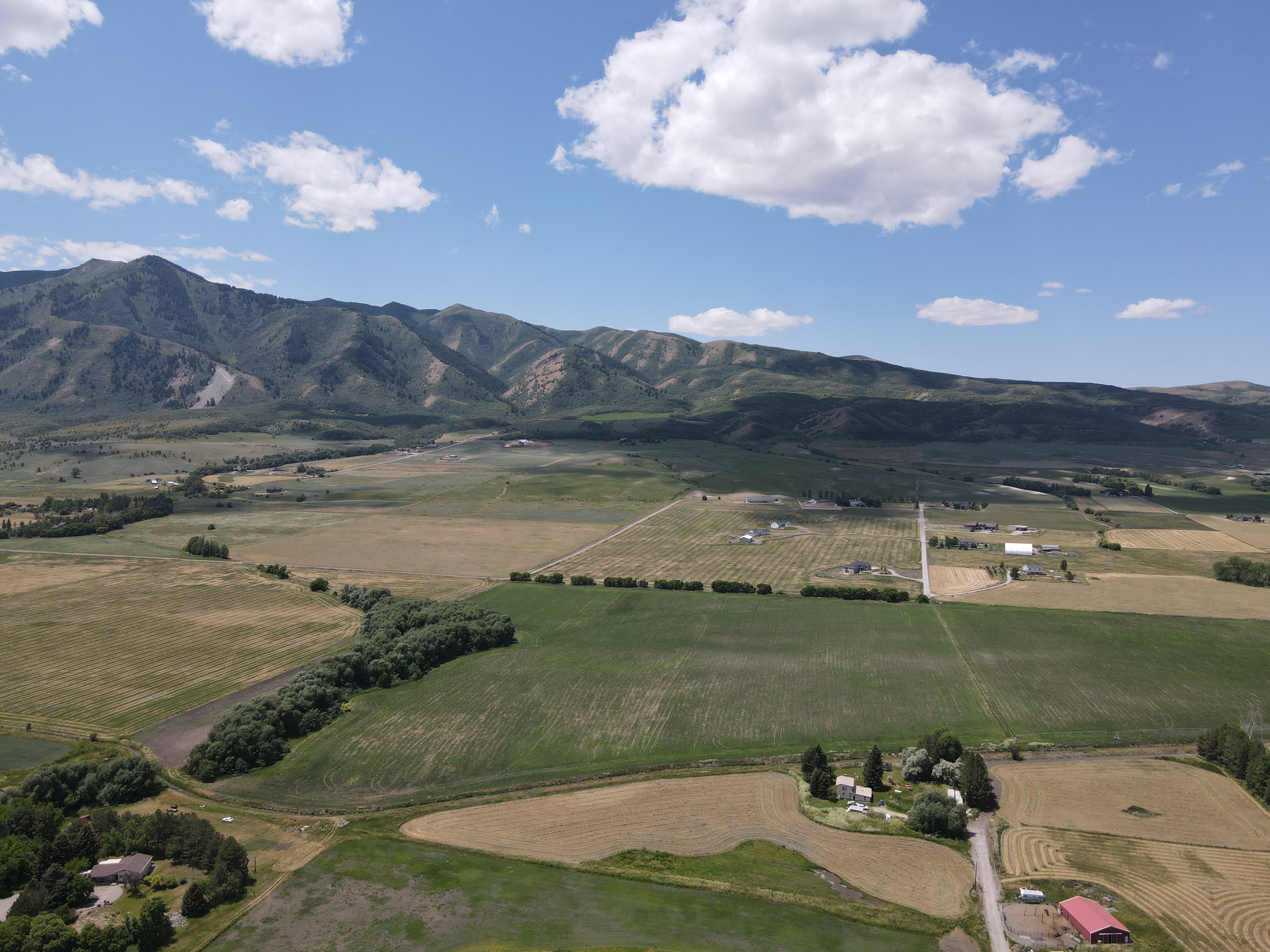 Image of Blueberry Springs