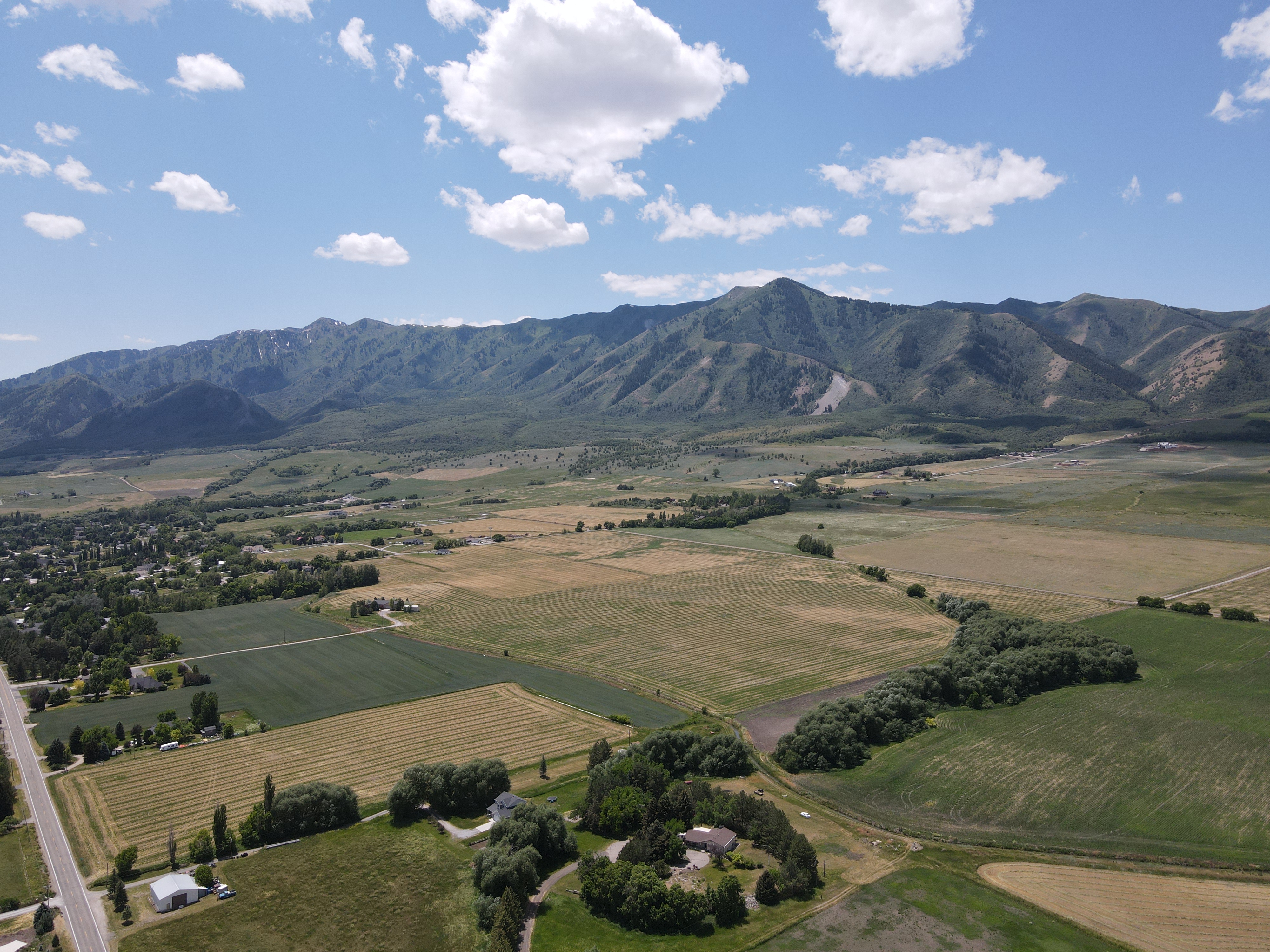 Image of Blueberry Springs