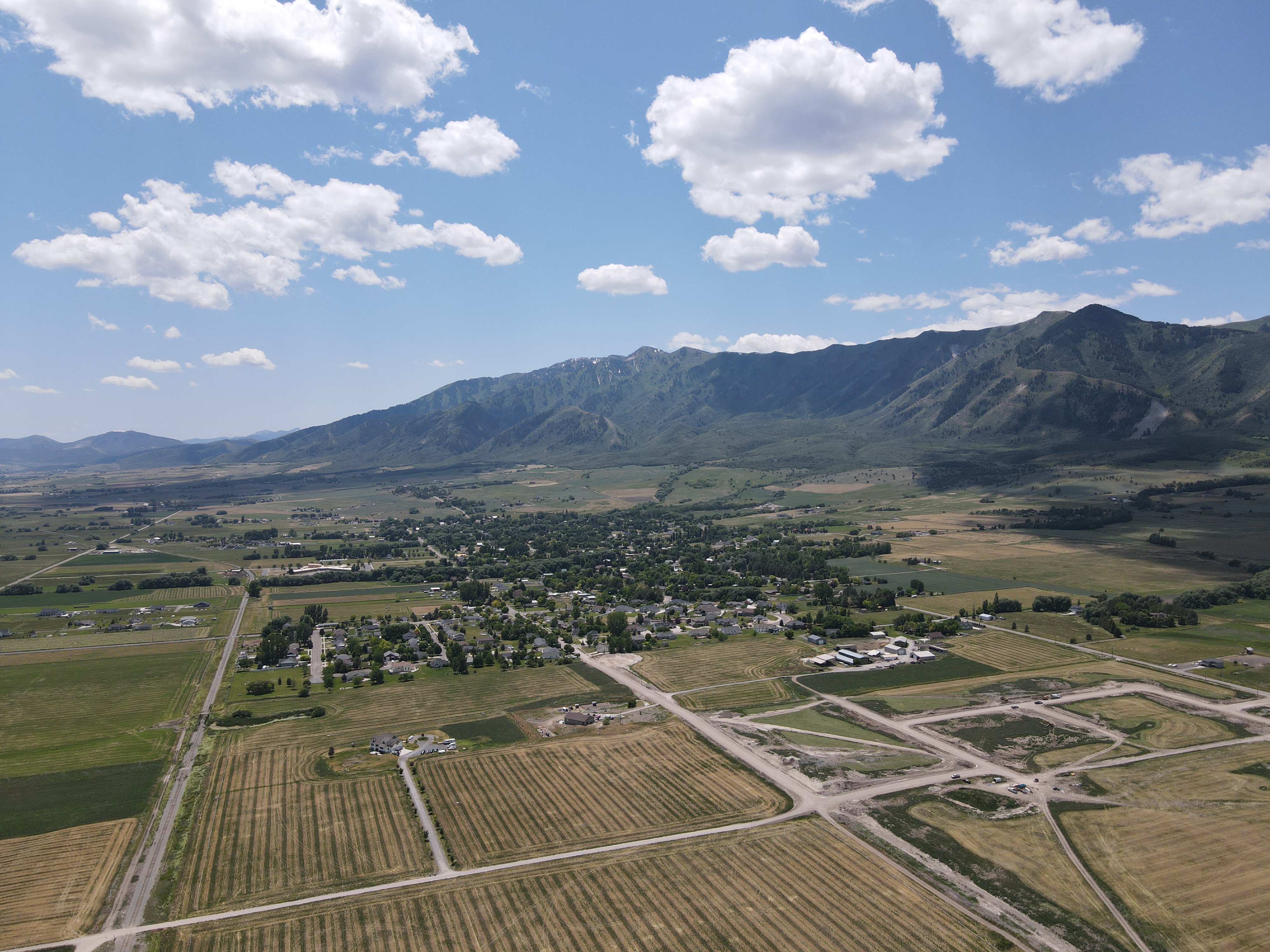 Image of Blueberry Springs